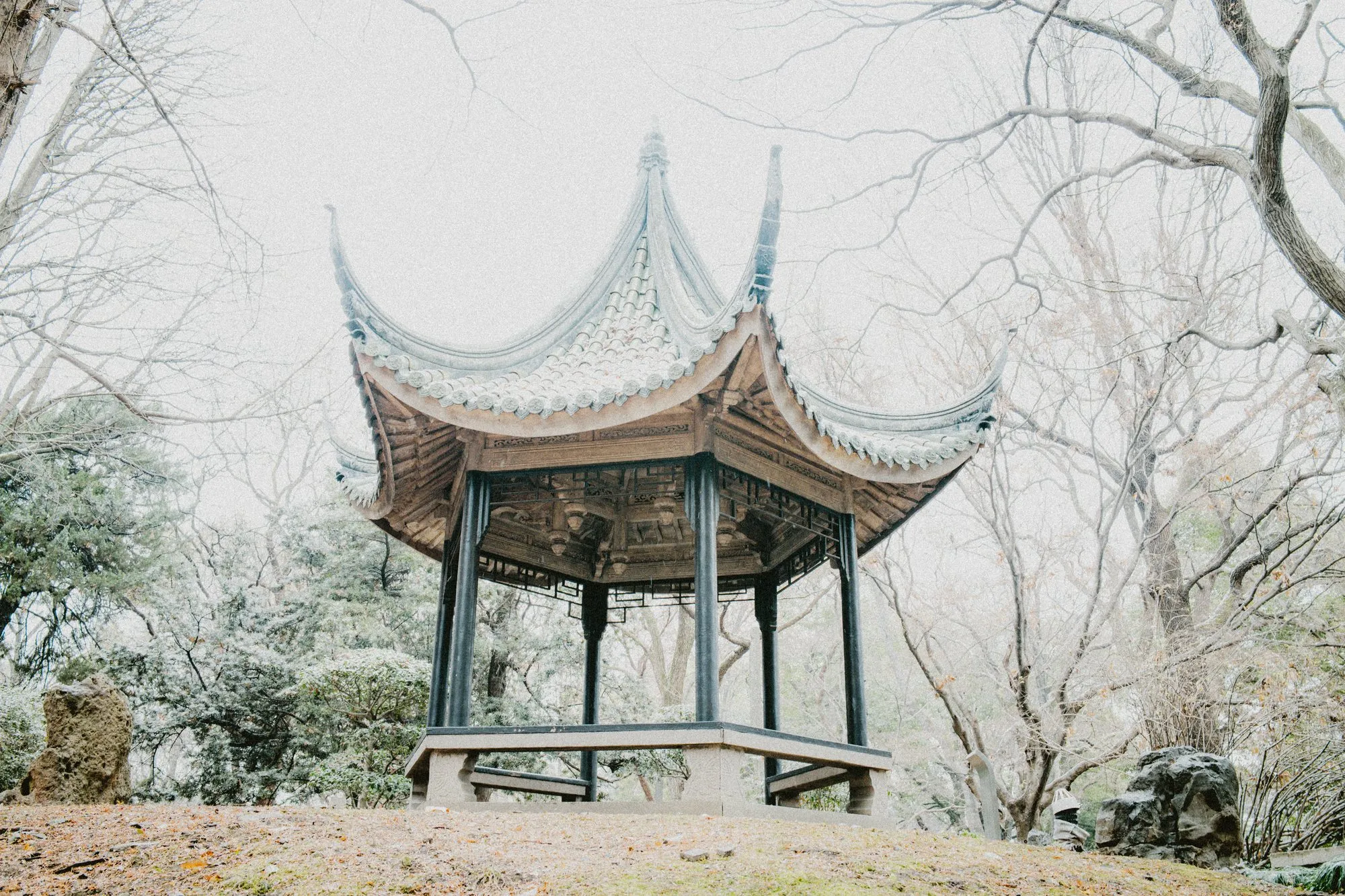 白色的停顿